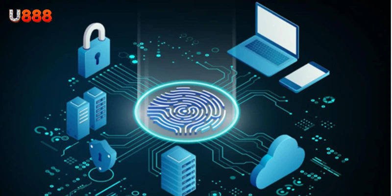 Trách nhiệm pháp lý của người chơi và U888