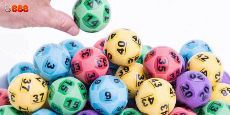 Hướng dẫn cách tìm và chọn con lô gan chuẩn xác