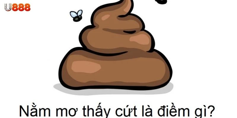 Nằm mơ thấy cứt gợi ý những con số lô đề nào?