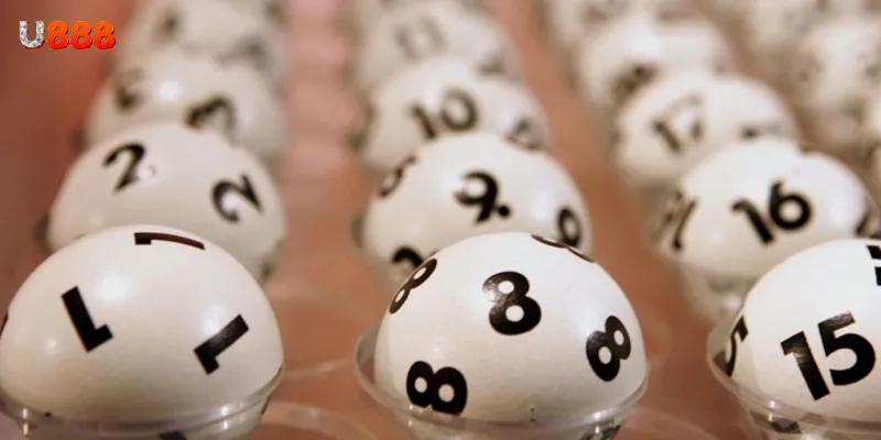 Bí quyết nuôi lô song thủ khung 5 ngày 