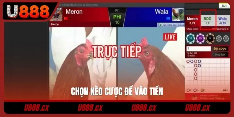 Chọn kèo cược để vào tiền