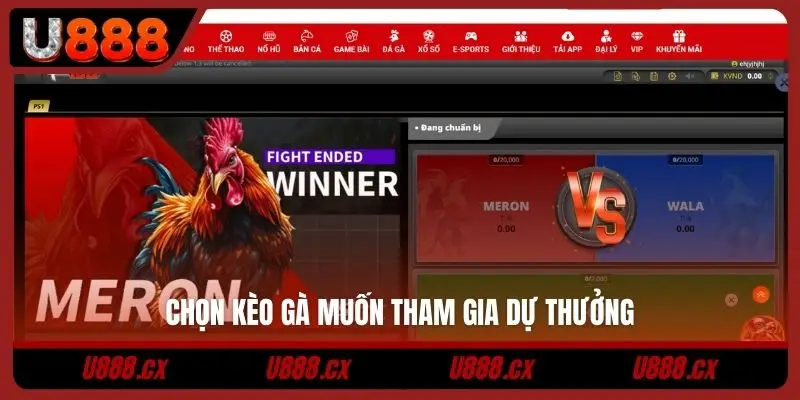 Chọn kèo gà muốn tham gia dự thưởng