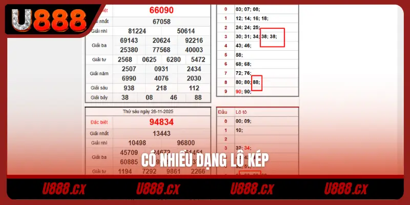 Có nhiều dạng lô kép