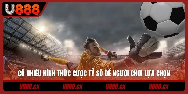 Có nhiều hình thức cược tỷ số để người chơi lựa chọn