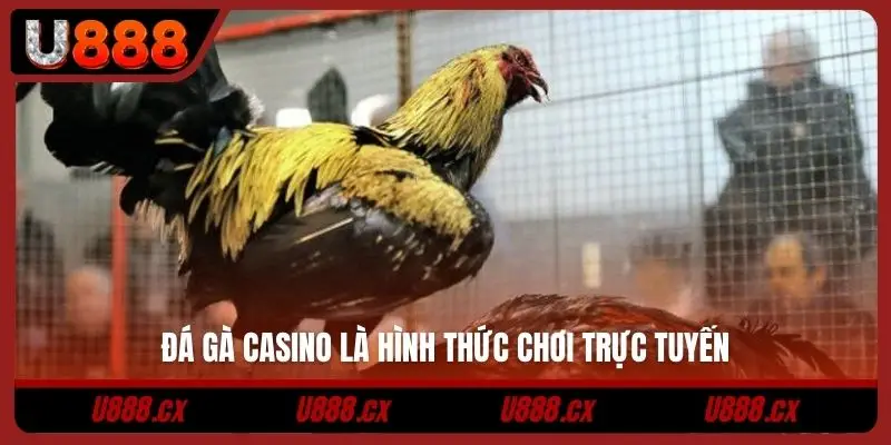 Đá gà casino là hình thức chơi trực tuyến