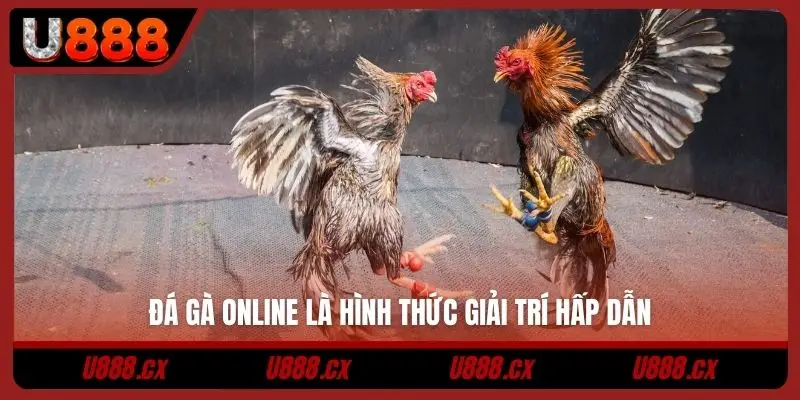Đá gà online là hình thức giải trí hấp dẫn