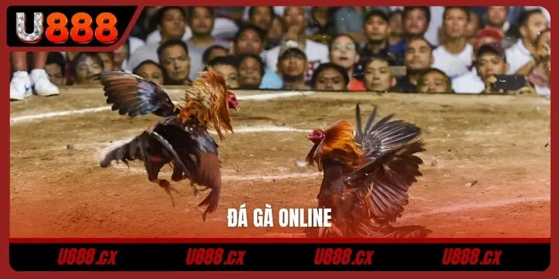 Đá gà online