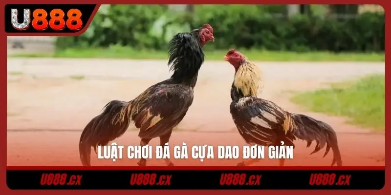 Luật chơi đá gà cựa dao đơn giản