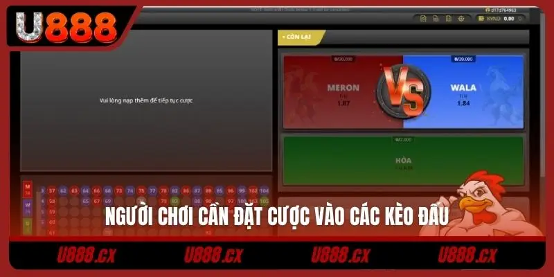 Người chơi cần đặt cược vào các kèo đấu