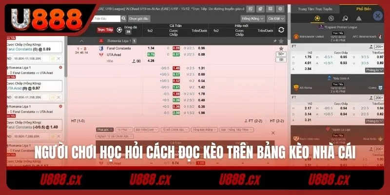 Người chơi học hỏi cách đọc kèo trên bảng kèo nhà cái