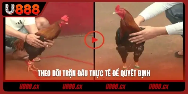 Theo dõi trận đấu thực tế để quyết định